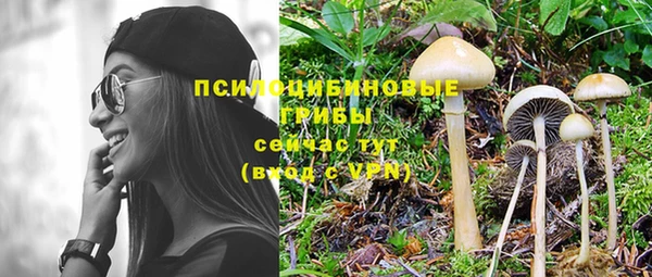 не бодяженный Кукмор