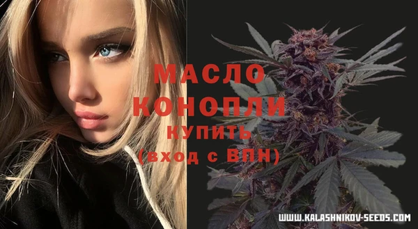 спиды Ладушкин